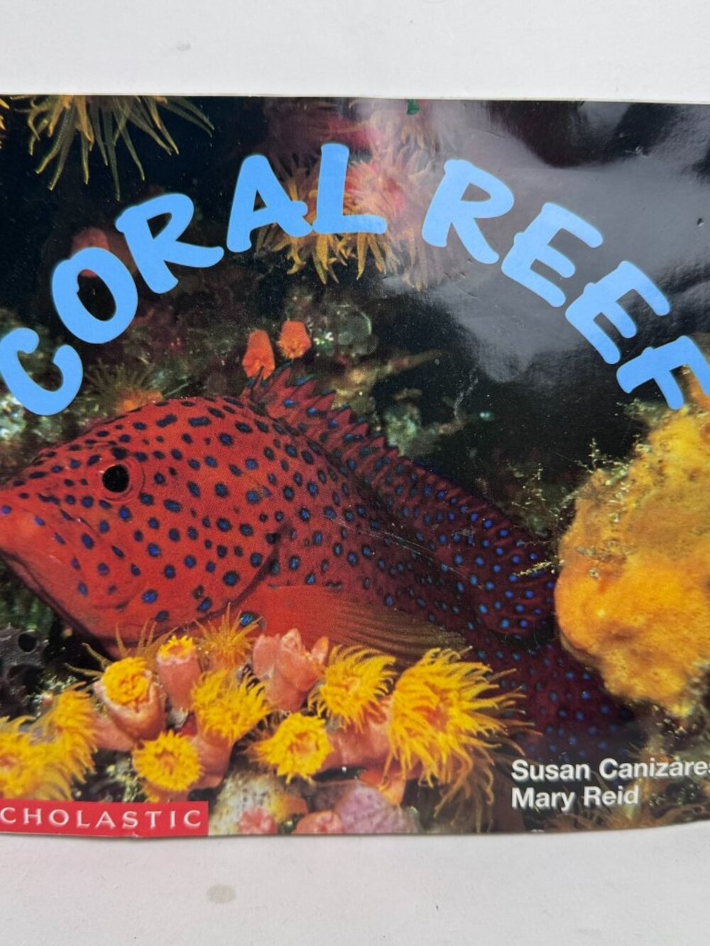 Coral Reef Scholastic Science Emergent Readers Susan Canizares Paperback Book